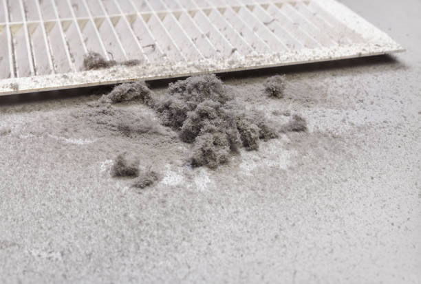 Best Commercial HVAC Duct Cleaning  in Lake Wazeecha, WI