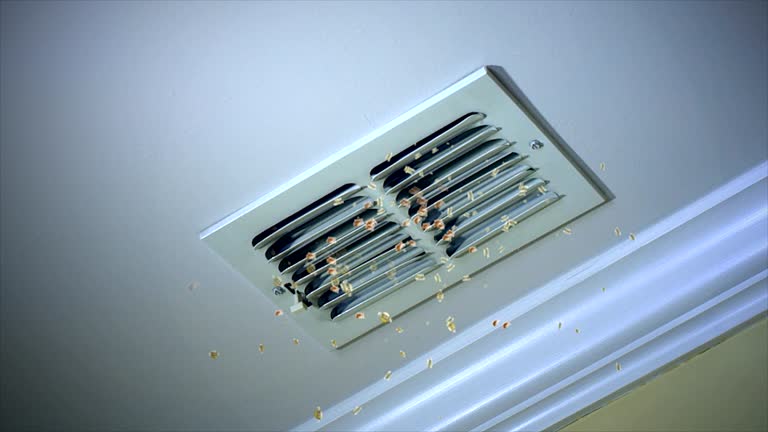 Best Affordable Air Duct Cleaning  in Lake Wazeecha, WI