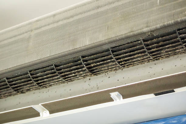 Best Air Duct Inspection  in Lake Wazeecha, WI