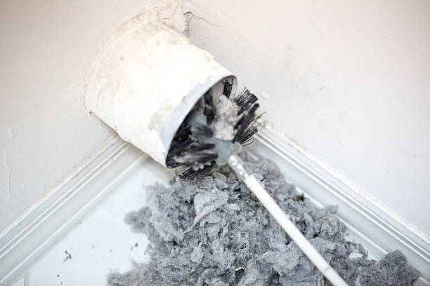 Best HVAC Duct Inspection Services  in Lake Wazeecha, WI